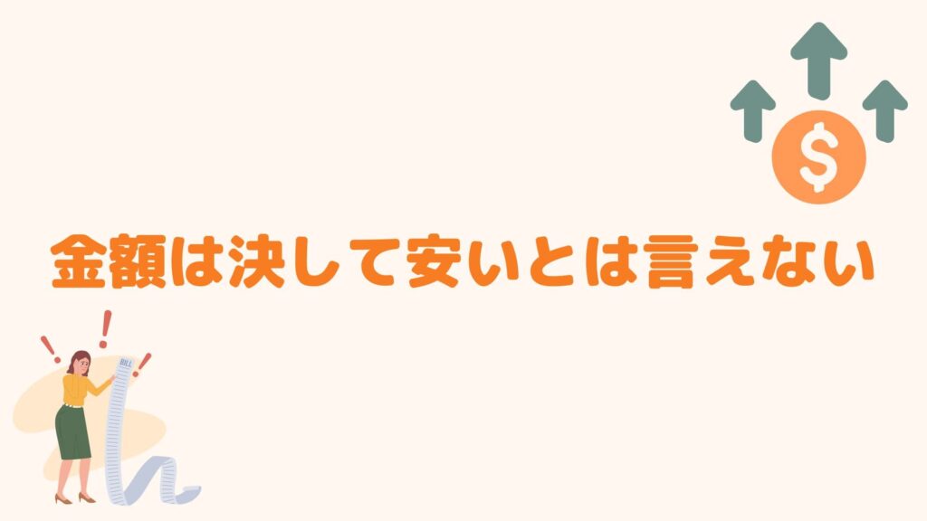 金額は決して安いとは言えない