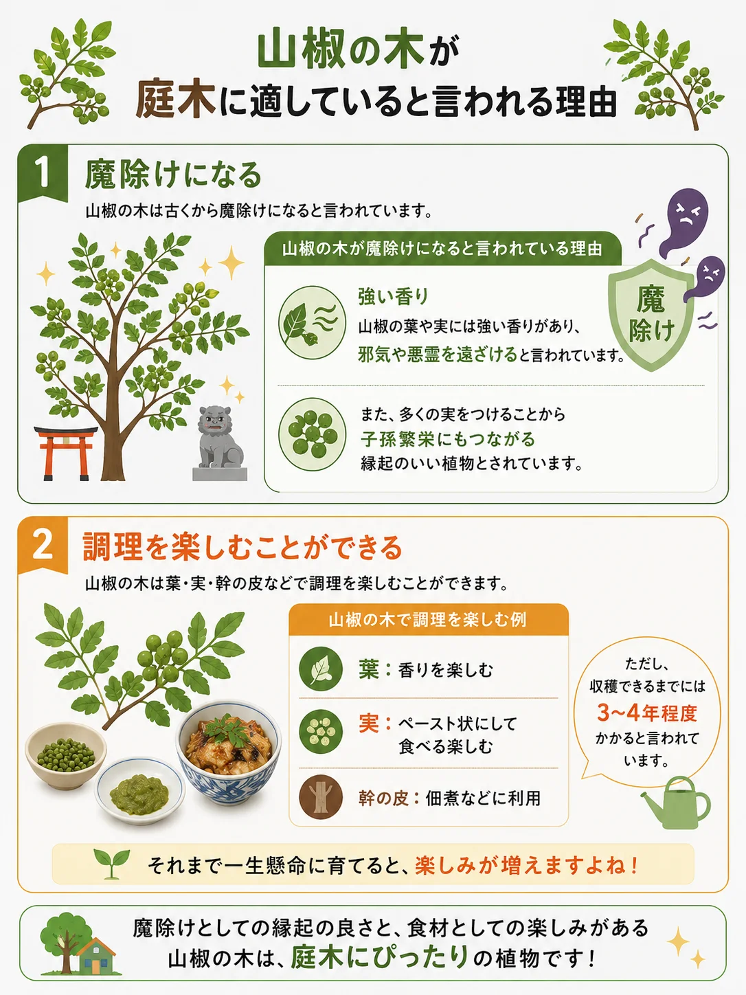 山椒の木が庭木に適していると言われる理由のインフォグラフィック