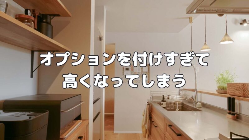 オプションを付けすぎて高くなってしまう
